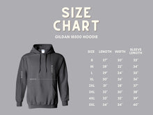 Load image into Gallery viewer, NO SHAME IN BEING PSYCHOTIC - HEAVY COTTON FRONT ZIP UNISEX HOODIE PREORDER CLOSING 1/3